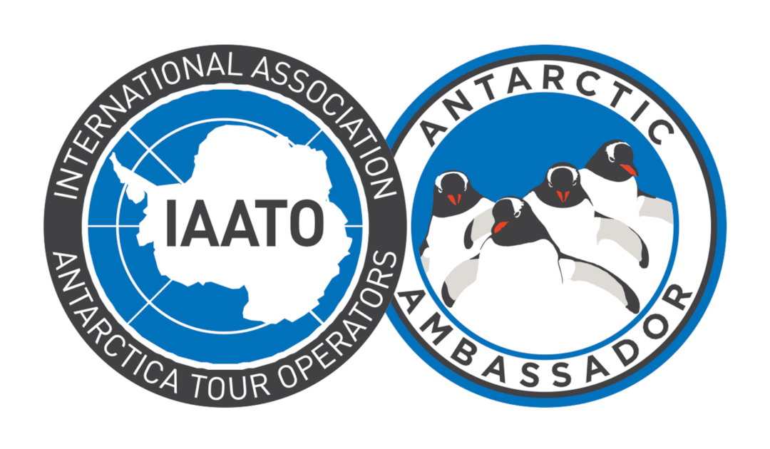 IAATO weitet Antarktis-Botschafterprogramm aus
