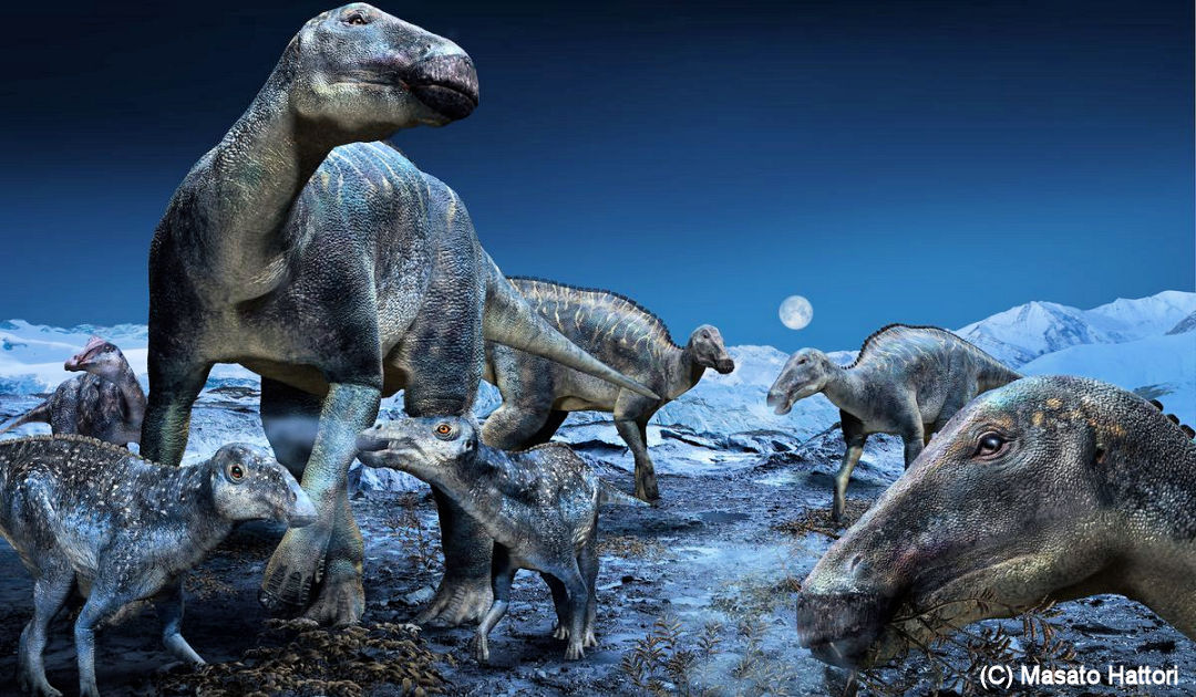 Dinosaurs found their way into Arctic Alaska