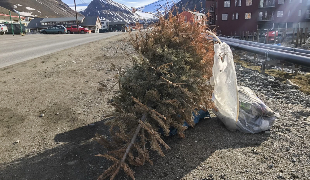 Nine tons of improperly disposed trash in Longyearbyen
