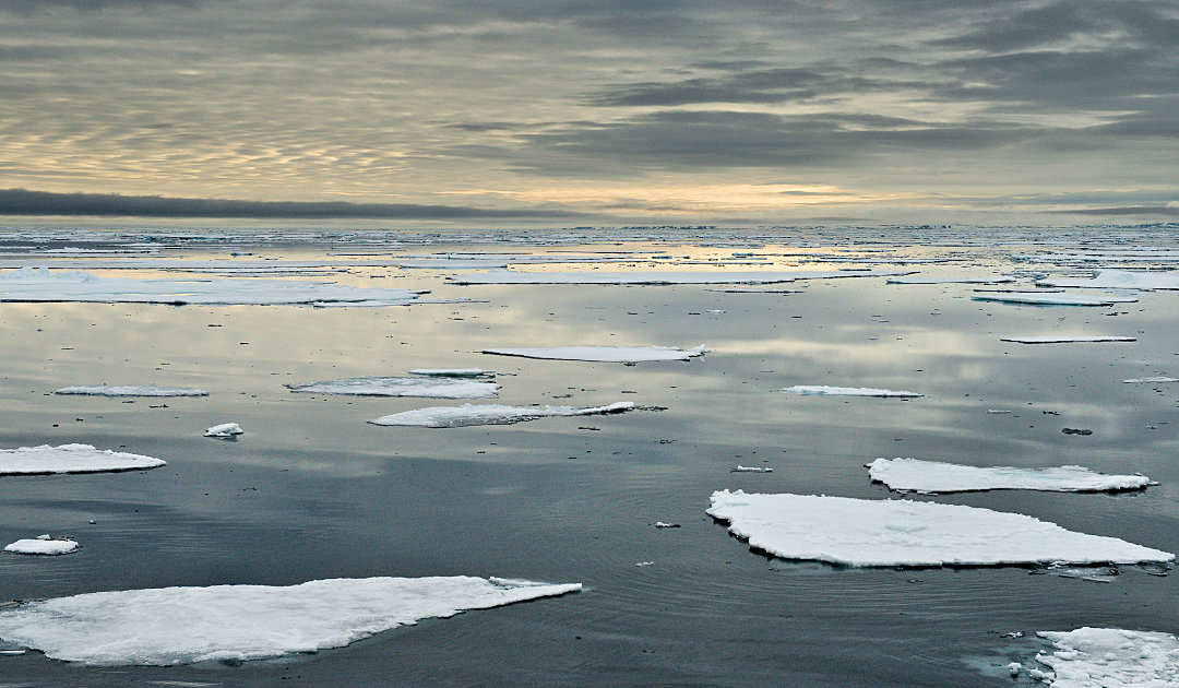 Wenn das arktische Meer nicht zufriert