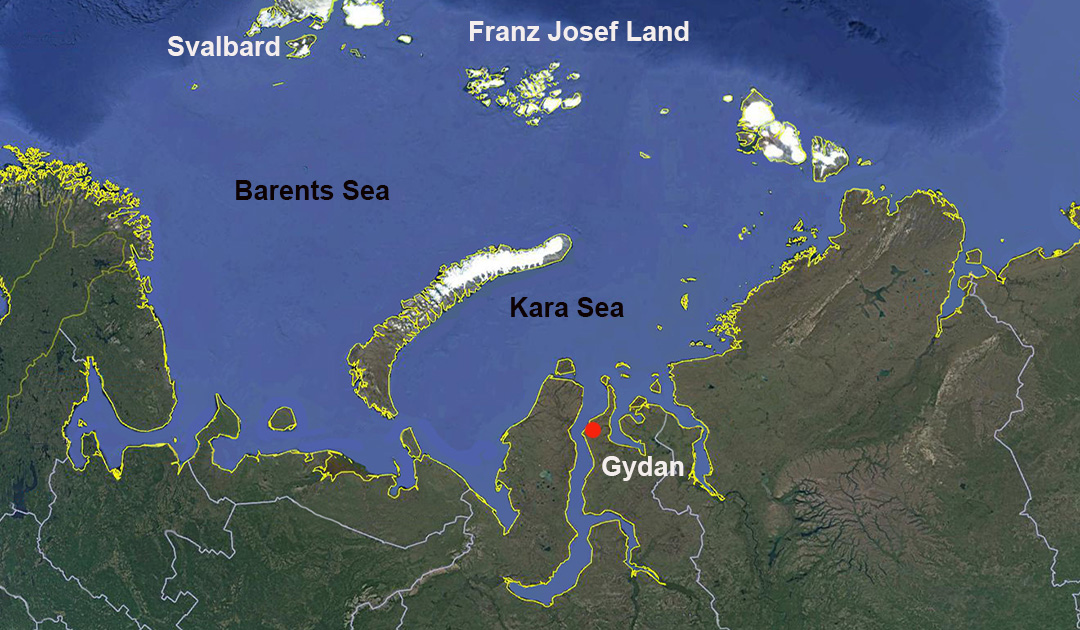 Любой крупный полуостров омываемый водами карского моря