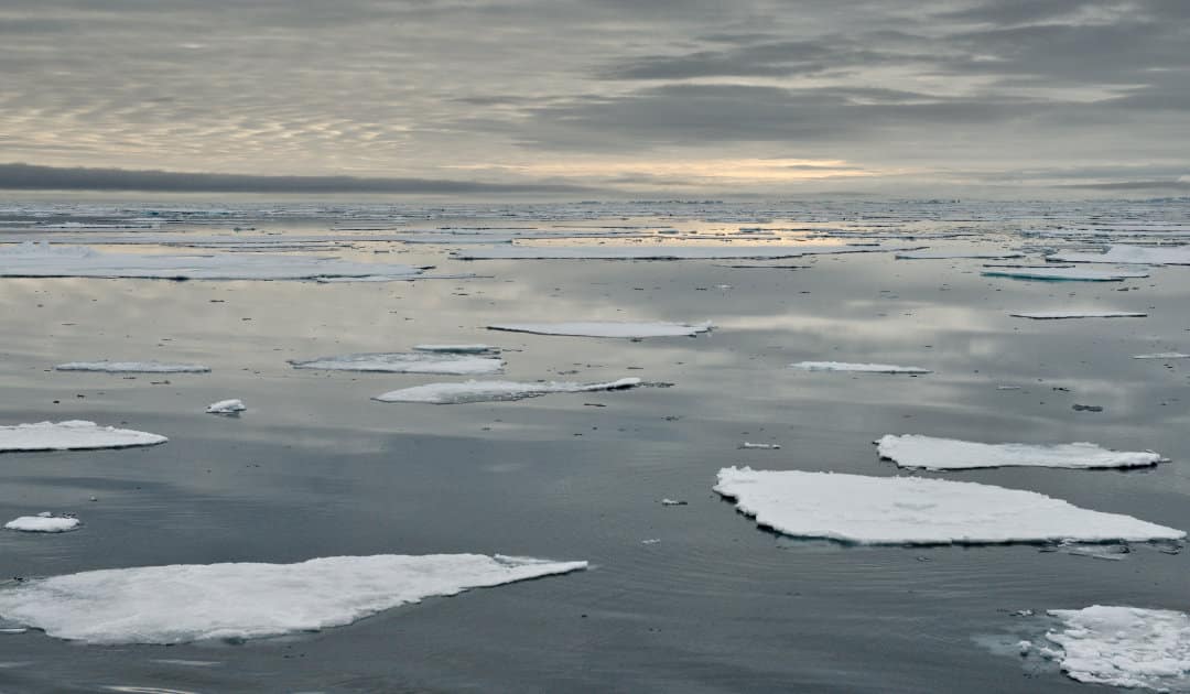 Melting sea ice leads to acidic Arctic Ocean