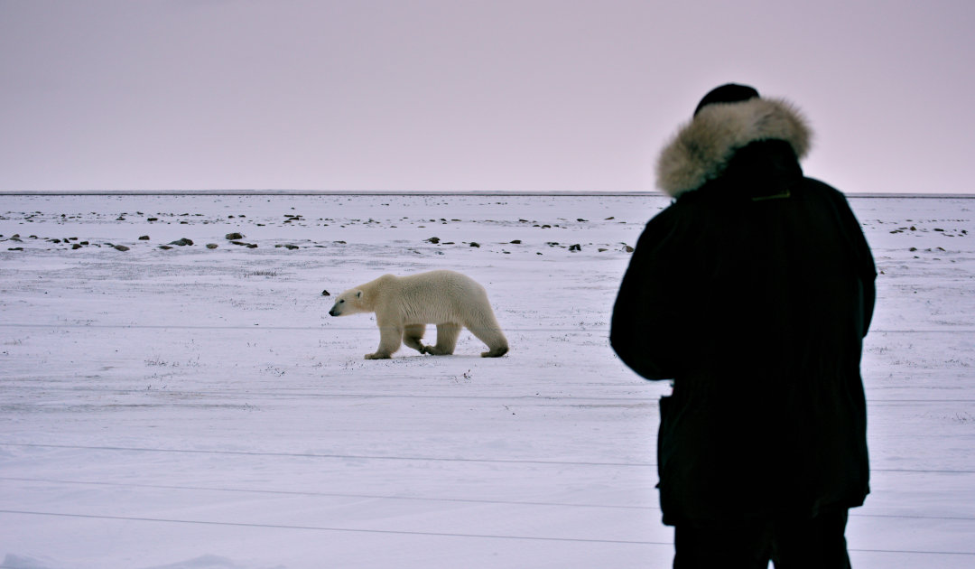 Canada opens borders, Arctic Polarjournal | hesitates still part
