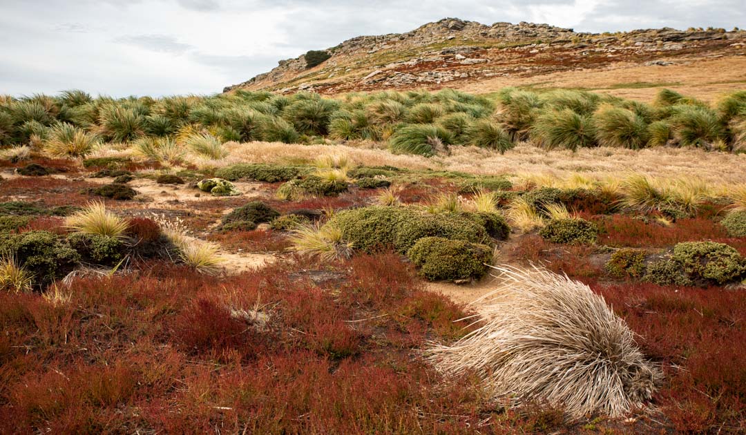 Menschliche prähistorische Spuren auf den Falklandinseln gefunden