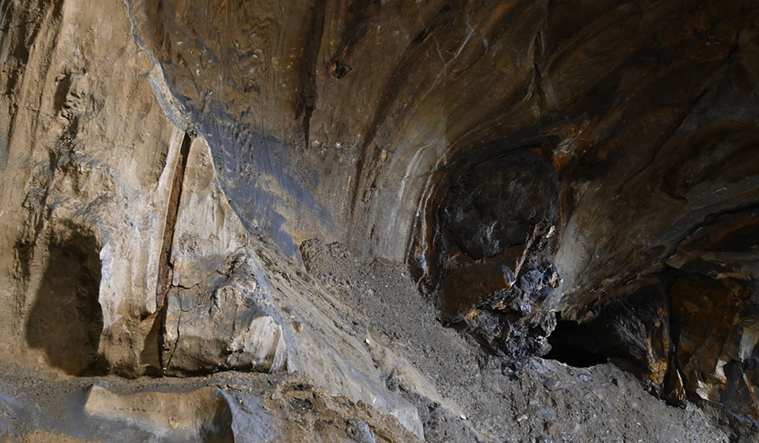 Norwegische Höhle beherbergt 100.000 Jahre alte Eisbärenknochen