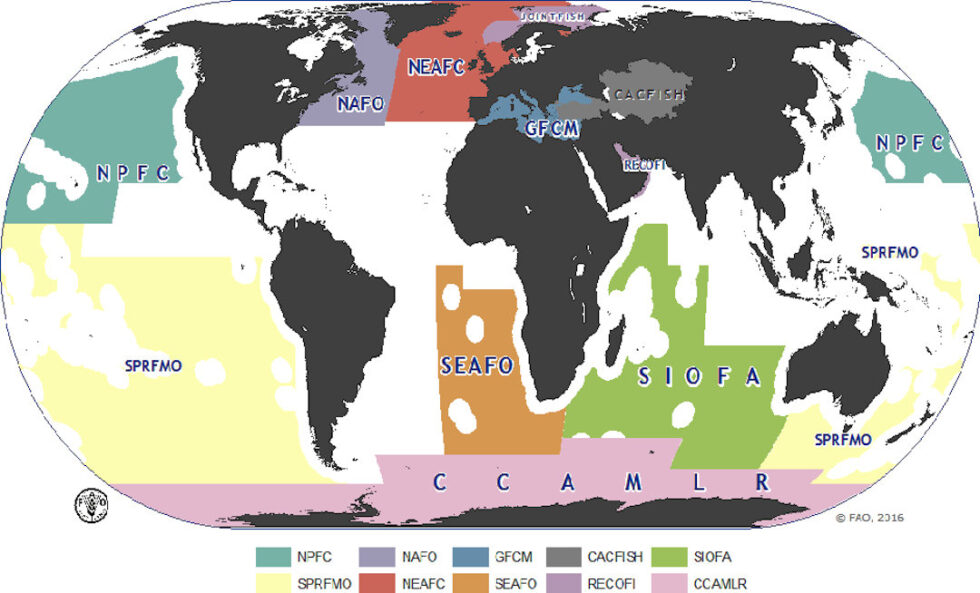 Managing fish stocks in northern waters | Polarjournal