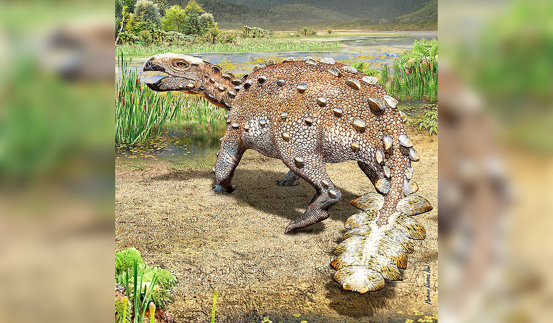 New dinosaur species with sword-shaped tail discovered in Chile