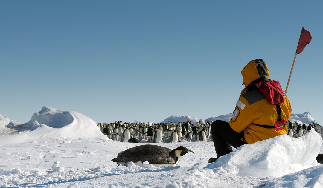 IAATO setzt Datum für offiziellen Antarktis-Botschafter-Tag