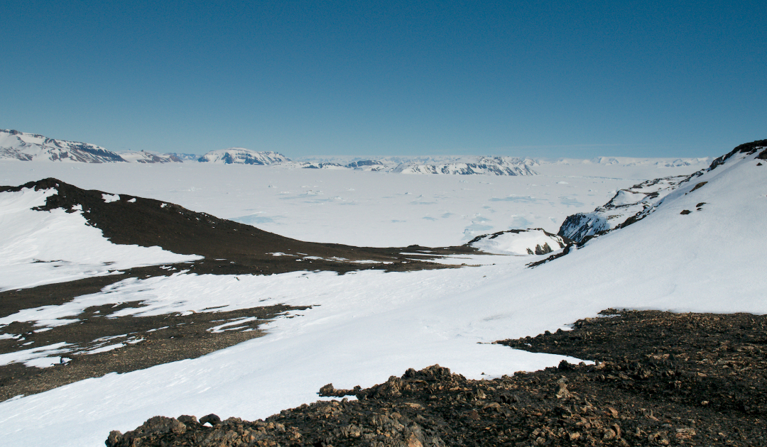Der polare Rückblick – Ein Blick unter Antarktikas eisige Küstenlinie