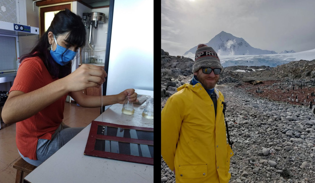 New funding opportunities for young Antarctic researchers