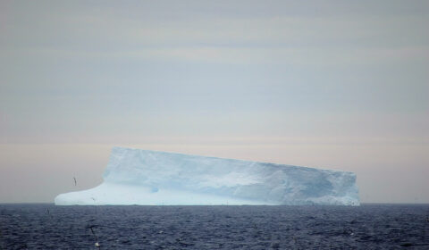 Oldest marine DNA discovered in Antarctica | Polarjournal