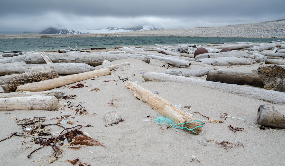 Less sea ice — no more driftwood in Iceland?
