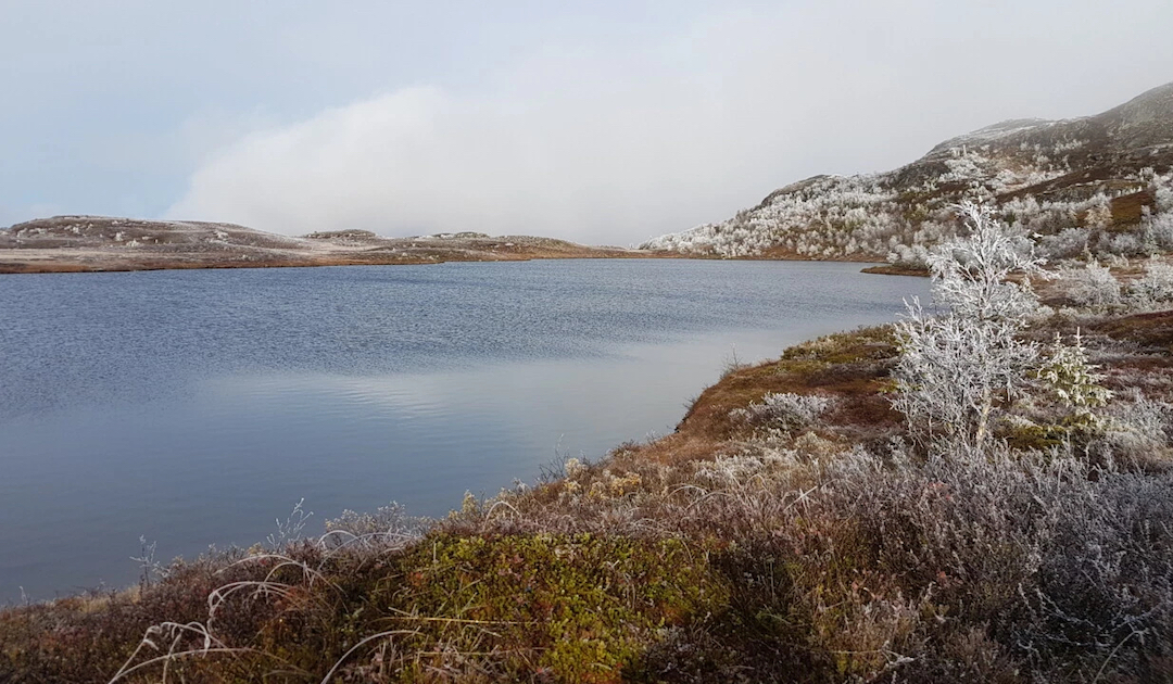 Arctic lakes have two ways of emitting carbon dioxide