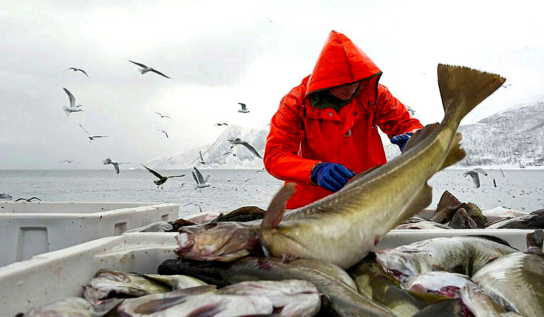 La Norvège remet en question l’accord de pêche avec la Russie
