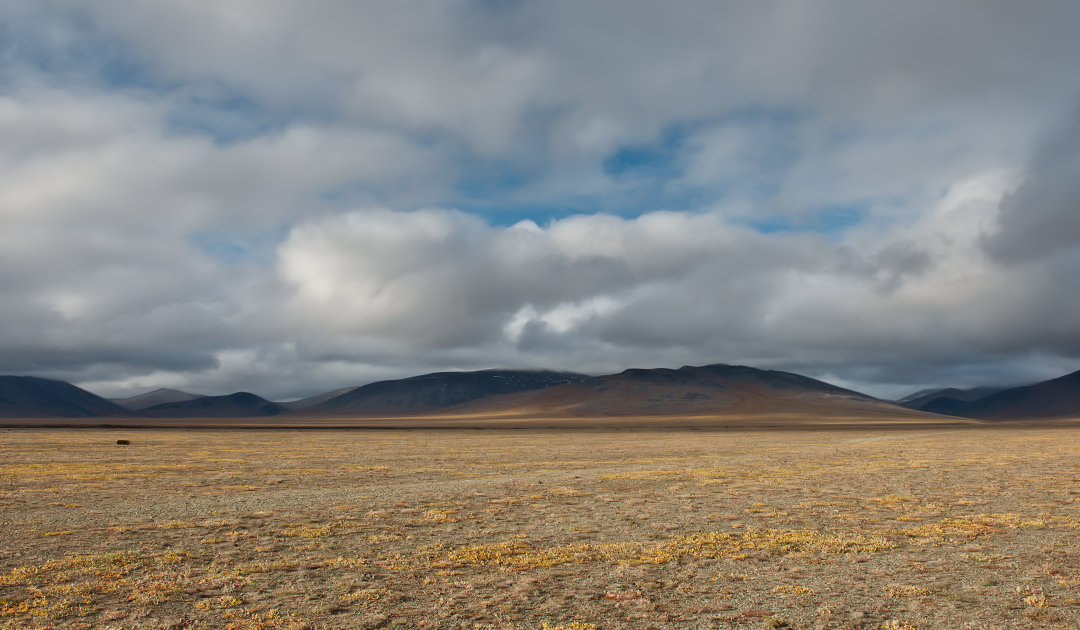 Vegetation types as key in energy regulation of Arctic landscapes.