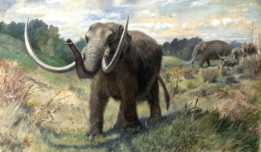 Oldest DNA from northern Greenland shows elephant relatives in the region