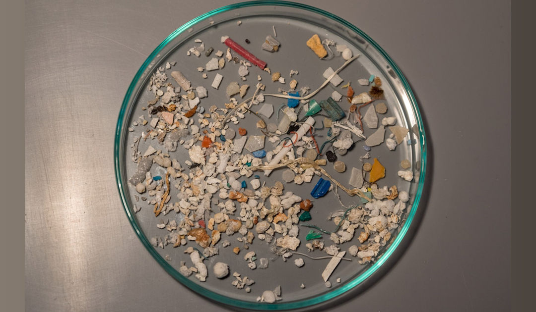 First time estimate of microplastic in the Chukchi Sea