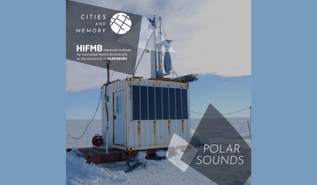 Polare Geräuschkulisse wird zu spektakulärem Musikalbum