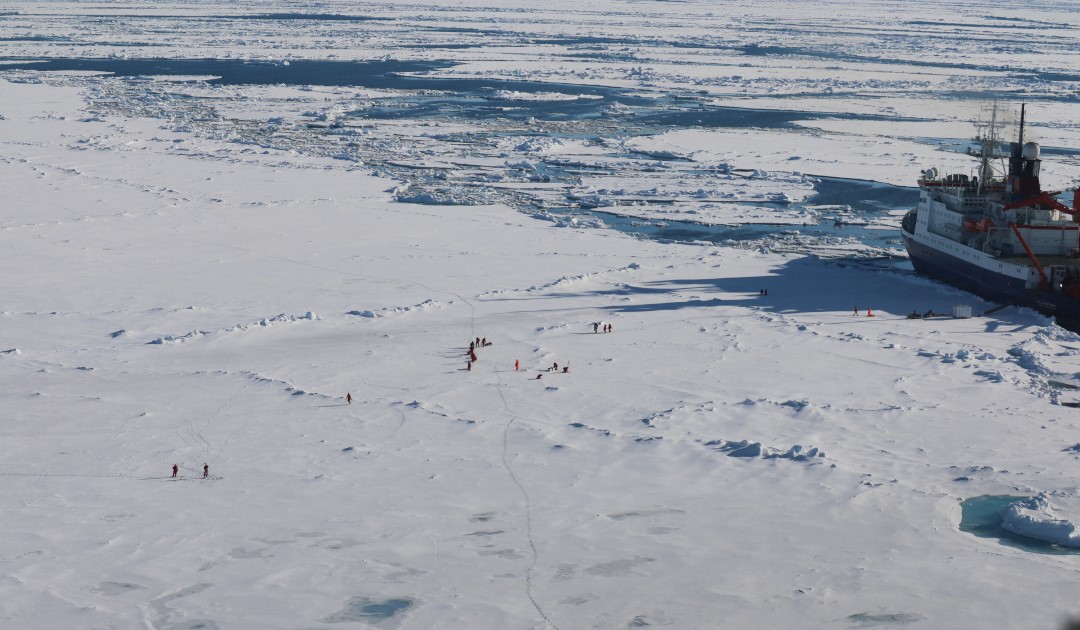 Arktis und Nordatlantik werden sich schneller ähnlich
