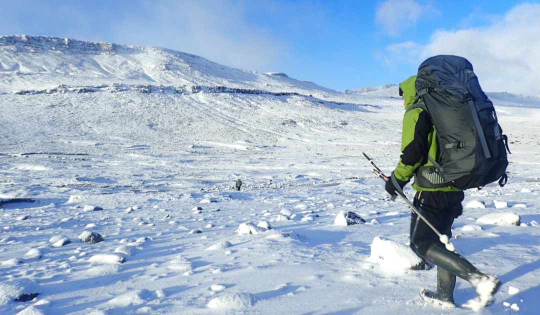 Freiwillige erheben sich gegen französisches Polarinstitut in der Antarktis