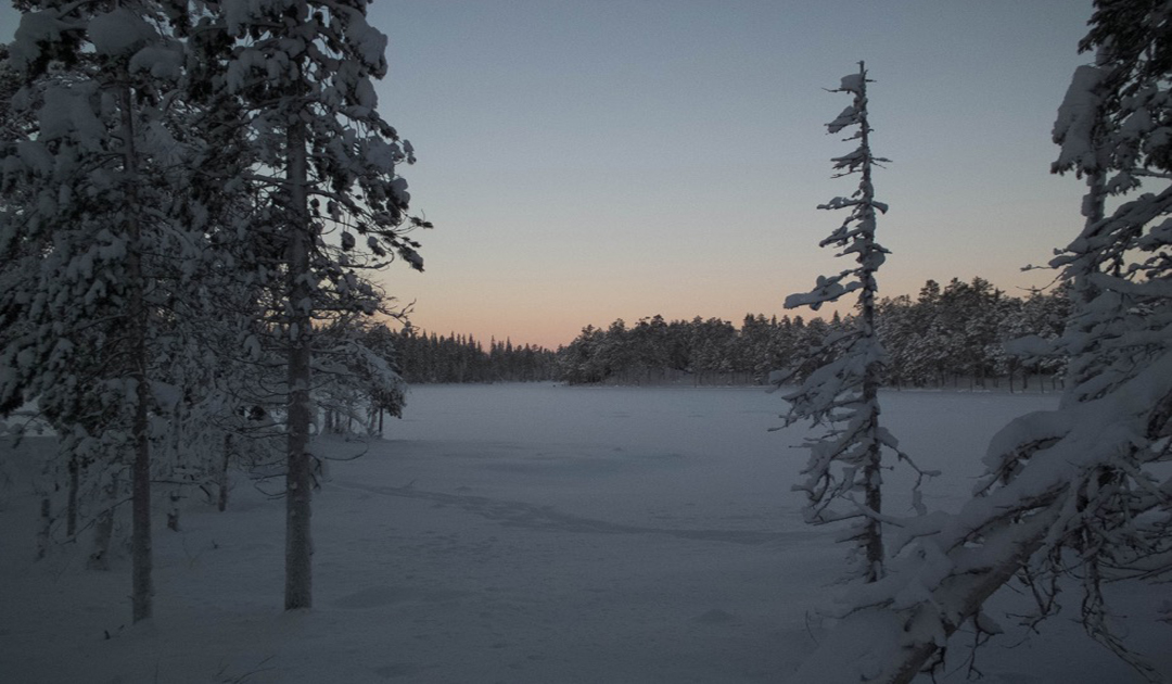 Lappland erfährt unumkehrbare Veränderungen wegen des Klimawandels