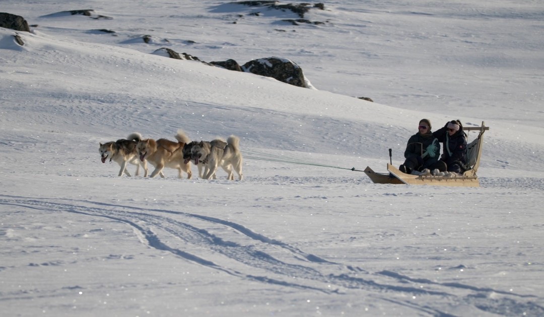 Searching for the origin of the dog sled