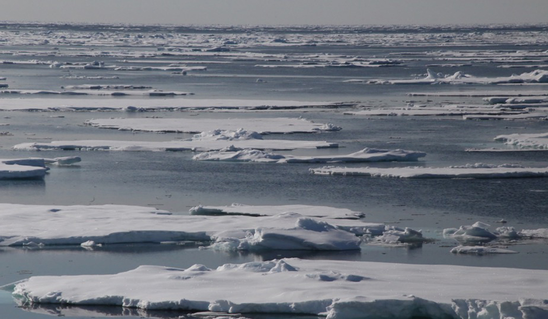 Mapping polar ecosystems for a better understanding