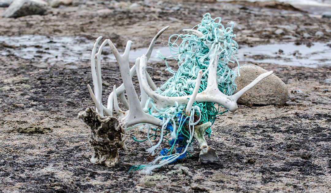 Deuxième colloque international sur les plastiques dans l’Arctique à Reykjavík