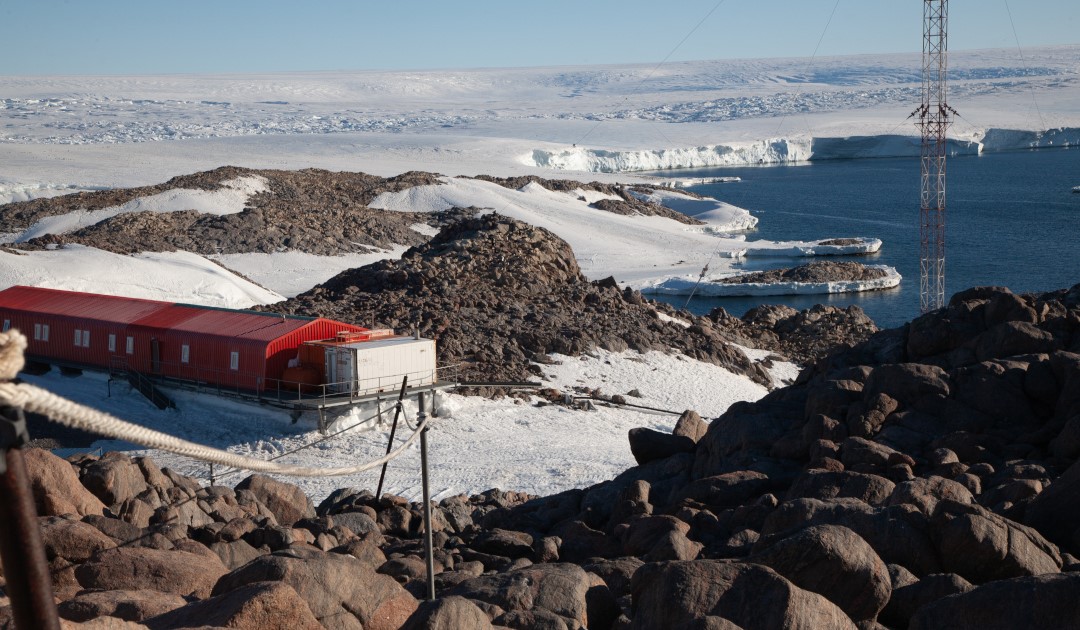 When a research station blends into the background – the opinion of the Adélie penguin