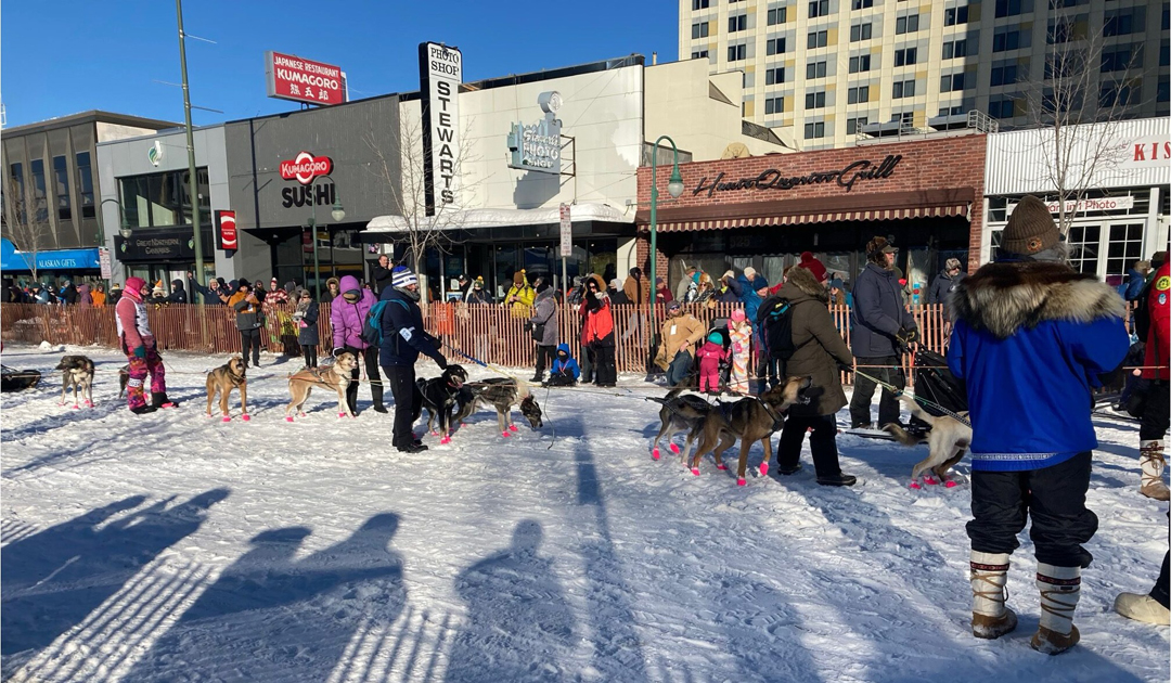 Les organisateurs de l’Iditarod affirment que les difficultés financières pourraient mettre en péril une course épique de chiens de traîneau