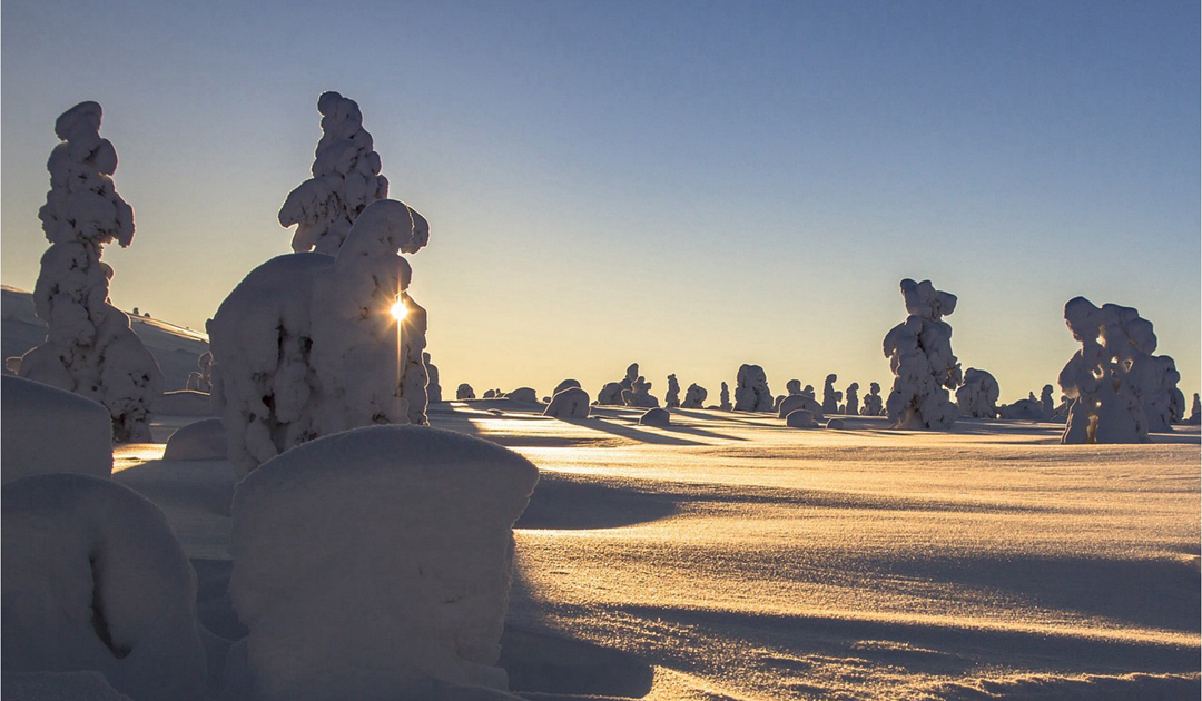 Schwierige Arbeitsbedingungen für ausländische Guides in Lappland